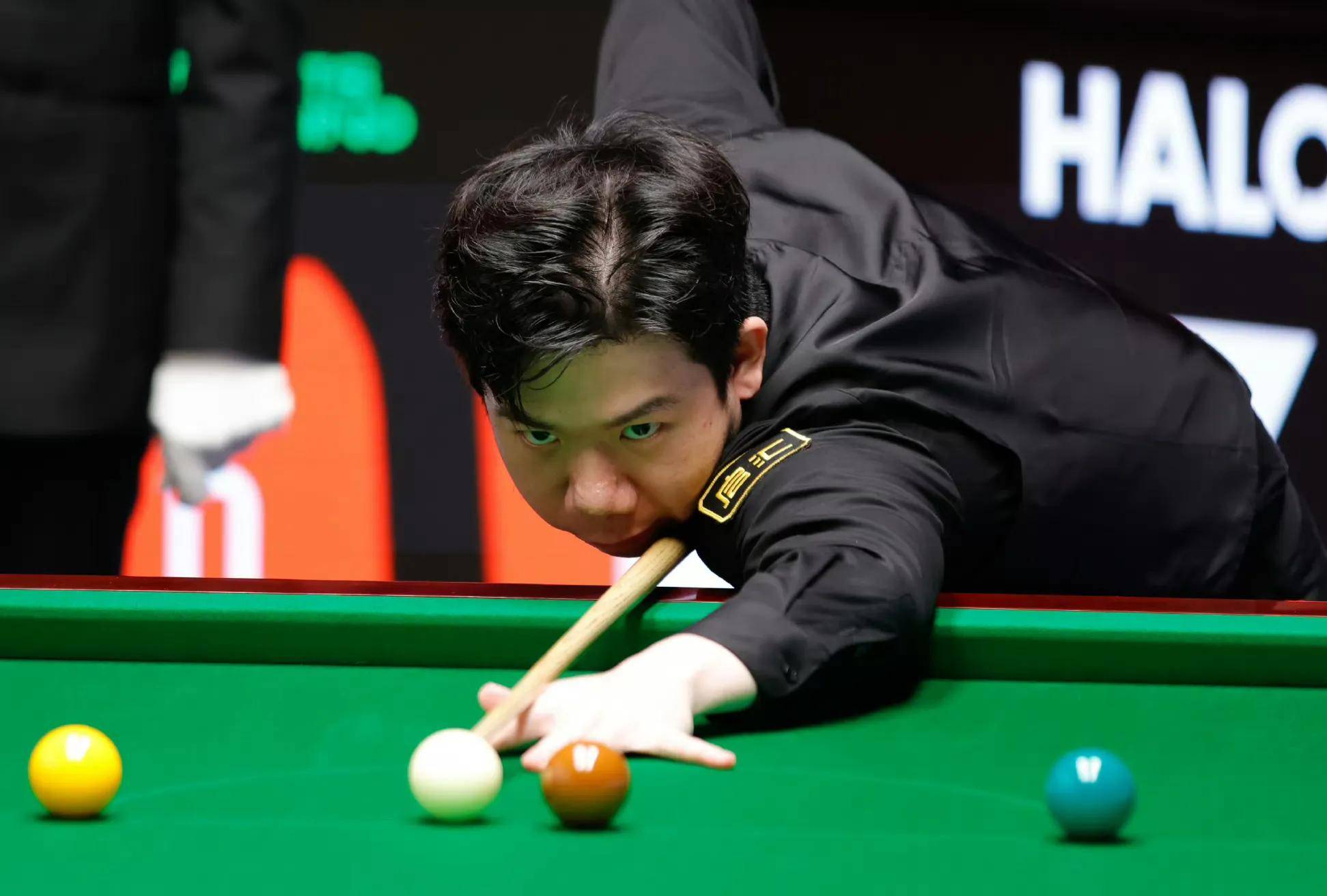 提供精致的 提供精致的